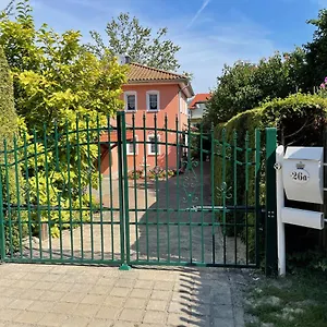 Zentrumsnahe Apartment